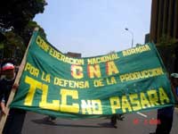 Marcha contra el TLC en Lima
