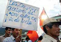 Marcha de cocaleros en Aguaytía