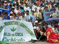 Protesta de cocaleros en Cusco