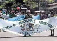 Protesta de cocaleros en Huanuco