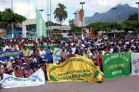 Asamblea de cocaleros en Tingo Maria