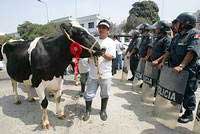 Protesta de ganaderos en Lima