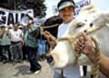 Protesta de ganaderos en Lima