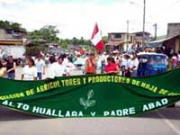 Manifestación de cocaleros en Tingo María