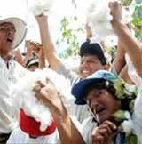 Proteste der Baumwollbauern