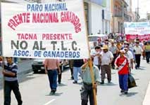 Demonstration gegen das Freihandelsabkommen in Lima
