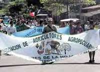 Demonstration von Cocabauern in Huanuco