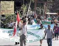 Demonstration von Cocabauern in Tingo Maria
