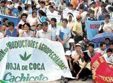 Protestmarsch der Ccoabauern in Tingo Maria