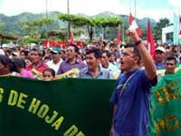 Protestaktion der Cocabauern von Tocache