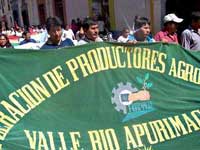 Demonstration von Cocabauern in Ayacucho