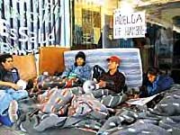 Hungerstreik von entlassenen Staatsbediensteten