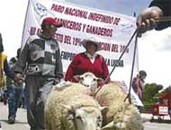 Demonstration der Viehzüchter und Fleischhändler